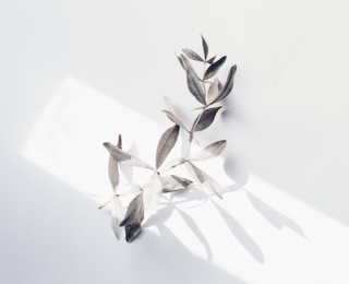 illustration de la mobilité