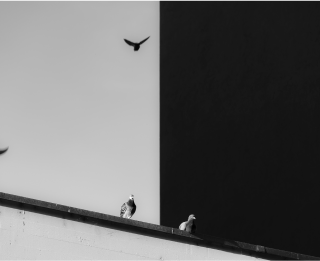 illustration du versement mobilité